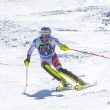 止まらないフィッシャースキー板離れ。ハーサーもアトミック検討。日本でFISレギュレーションモデル5万円販売計画があった話。